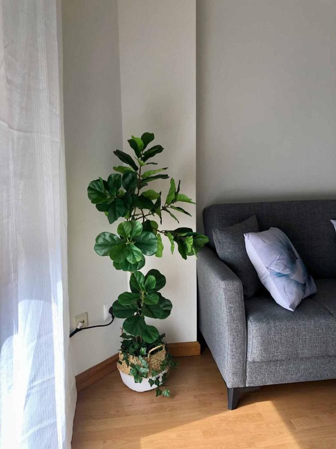 Apartamentos Schultz Gijón Kültér fotó